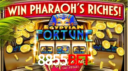 Apostas Esportivas na 8855BET: Um Guia Completo